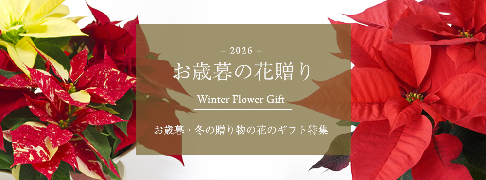 お歳暮・冬の贈り物の花・ギフト特集2026