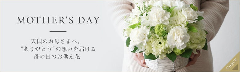 青山花茂120周年特設サイト