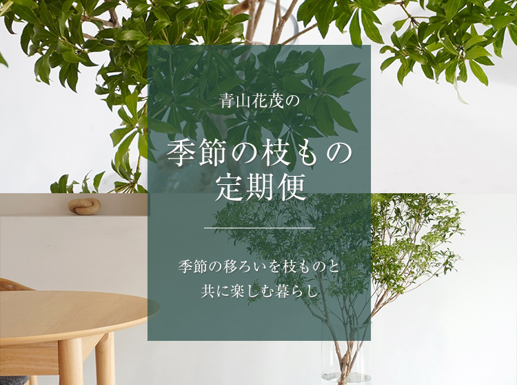 季節の枝もの定期便