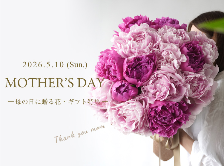 母の日に贈る花・ギフト特集2026