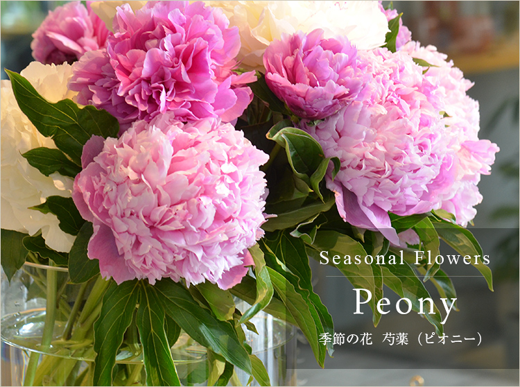 芍薬のフラワーギフト