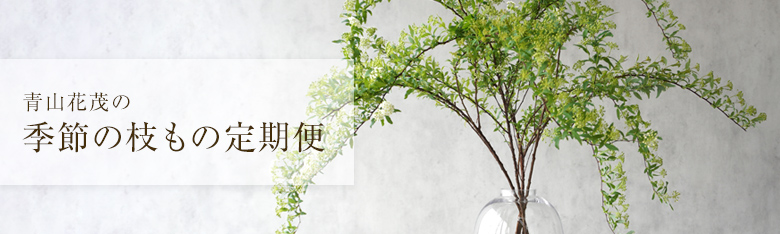 青山花茂オンラインショップ枝もの定期便特集ページへ 小手毬
