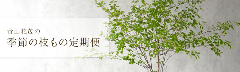 季節の枝もの定期便