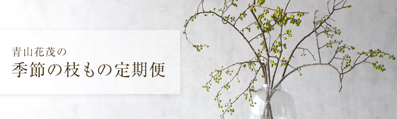 季節の枝もの定期便