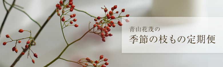 季節の枝もの定期便