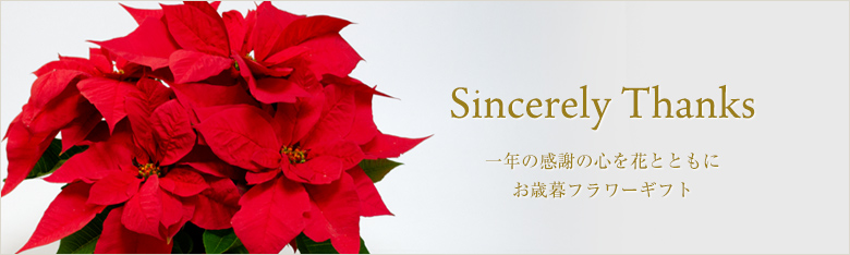 淡い紫のシクラメンの鉢植え