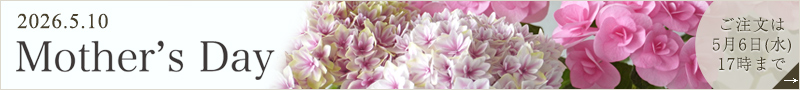 母の日に贈る花・ギフト特集2026