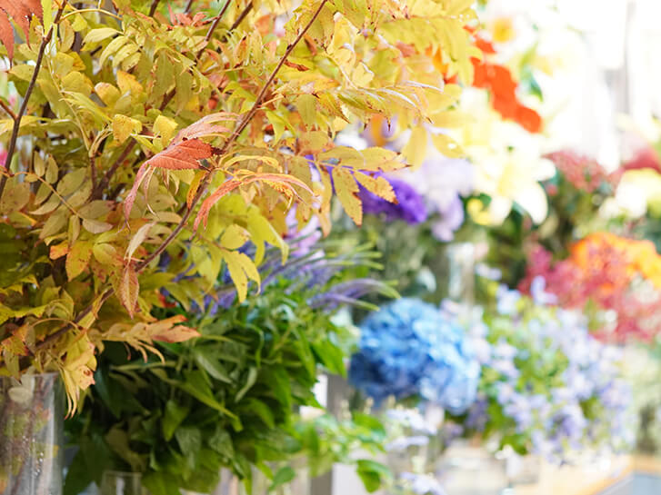 青山花茂店頭のナナカマド