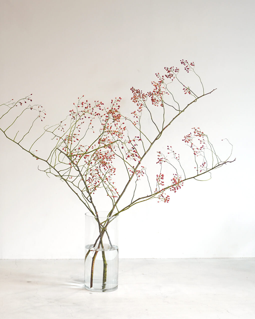 野バラの花瓶活け