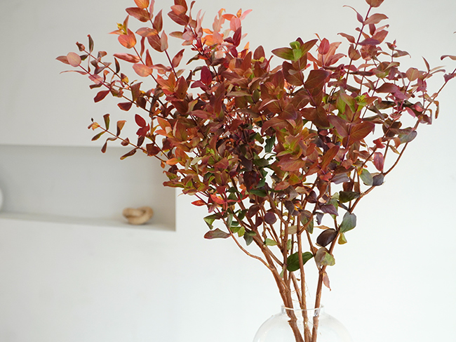 紅葉ヒペリカム