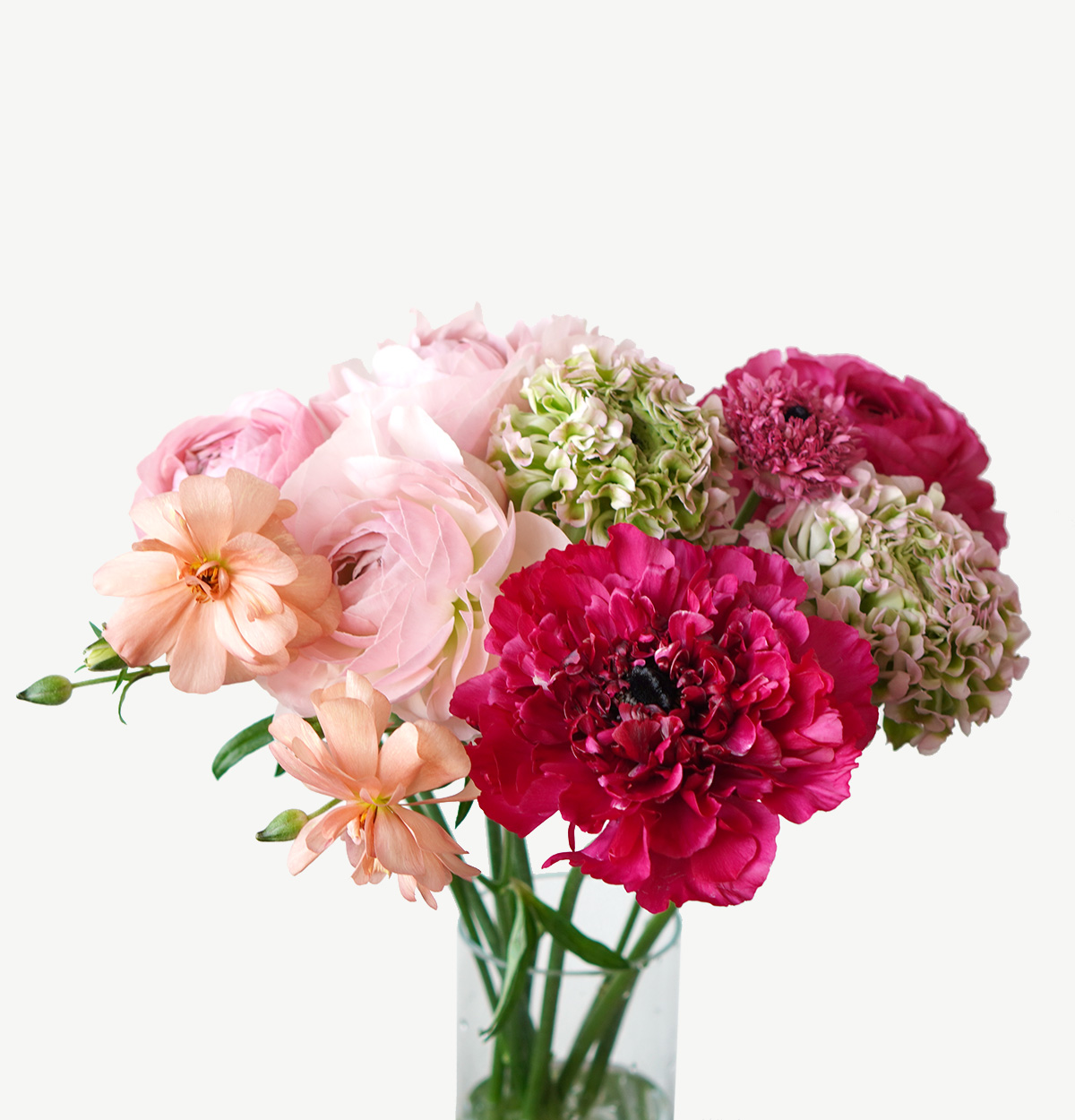 種類豊富なラナンキュラス