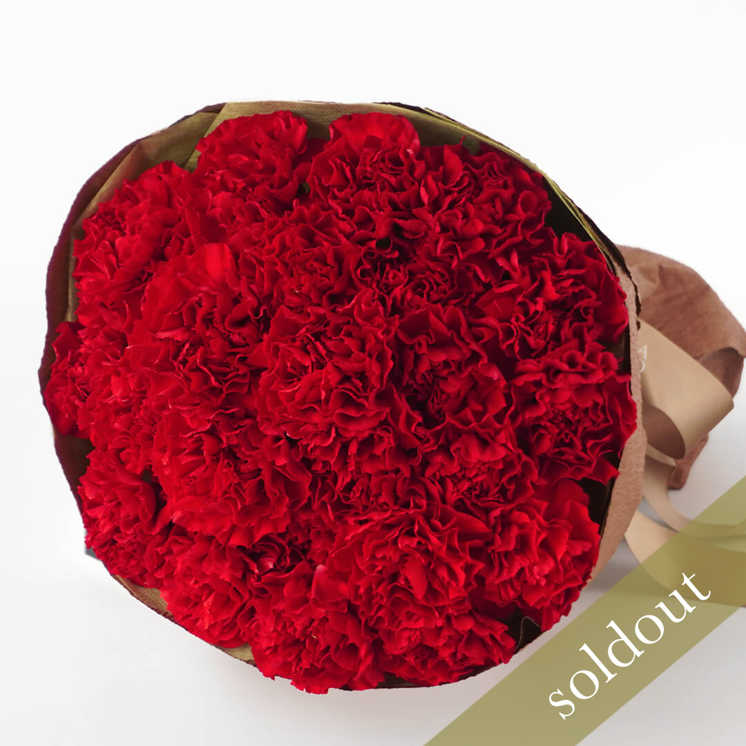 【母の日】赤い大輪カーネーションの花束