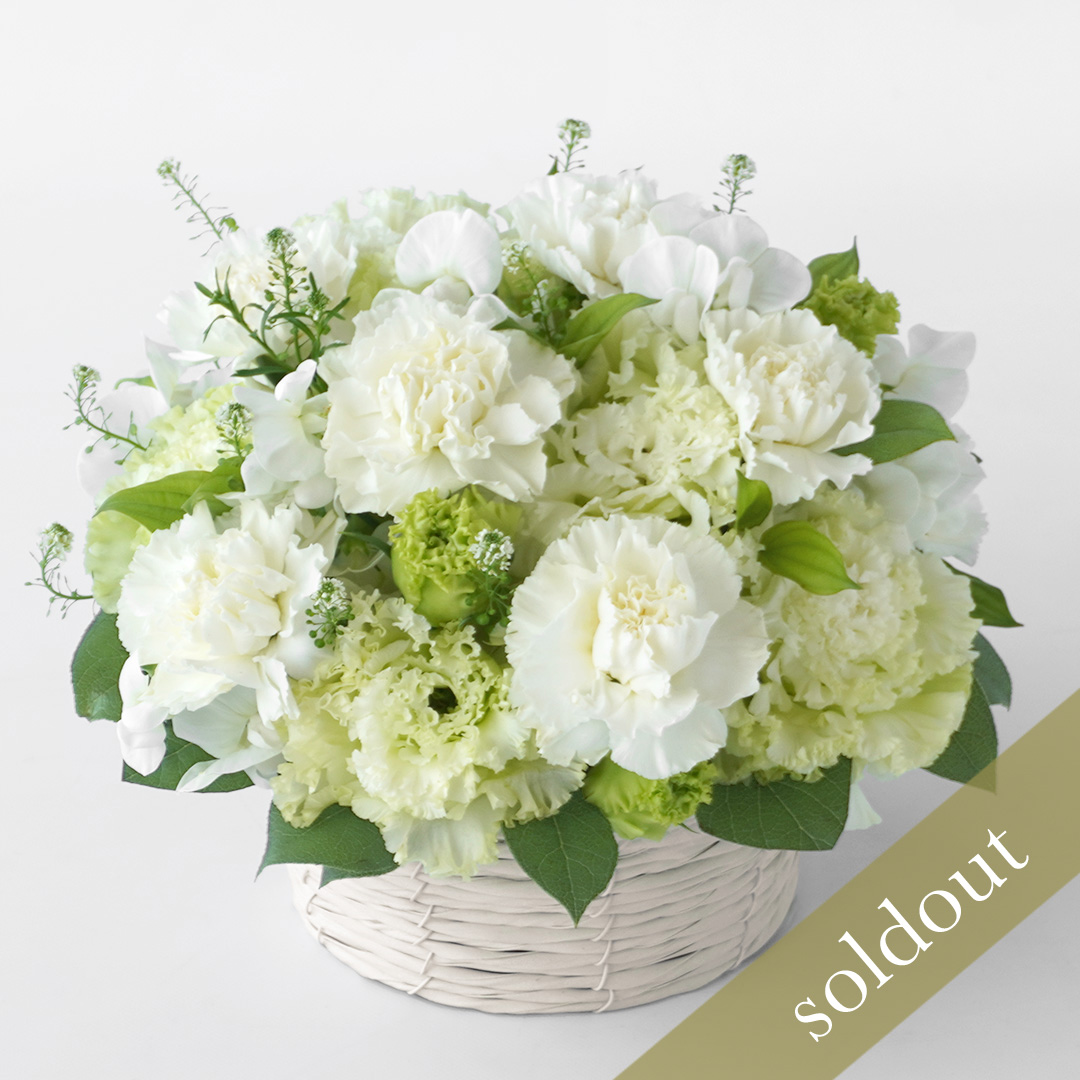 【母の日】白いカーネーション、淡いグリーンのトルコキキョウのお供えアレンジメント