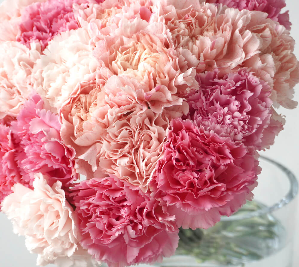 濃淡ピンクのカーネーションの花束