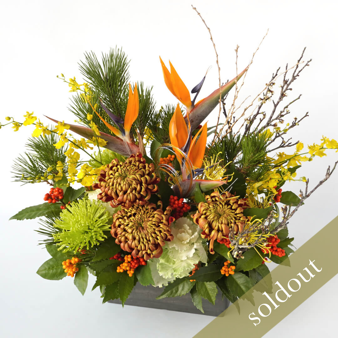 ストレチアやオレンジの複色のマムのアレンジメント