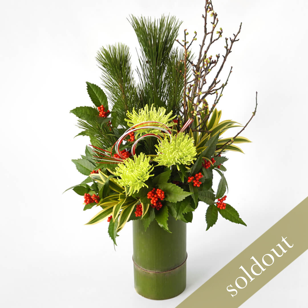 若松、千両、白梅、黄緑のマムのアレンジメント