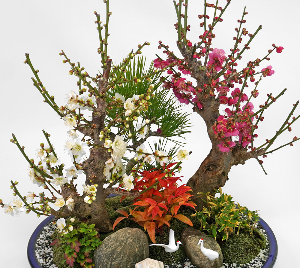 お正月の花飾り・お年賀ギフト特集2025-2026