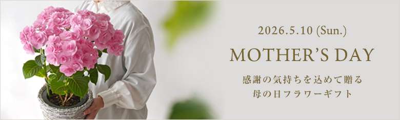 母の日に贈る花・ギフト特集2026
