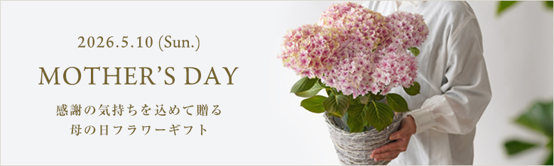 母の日に贈る花・ギフト特集2026