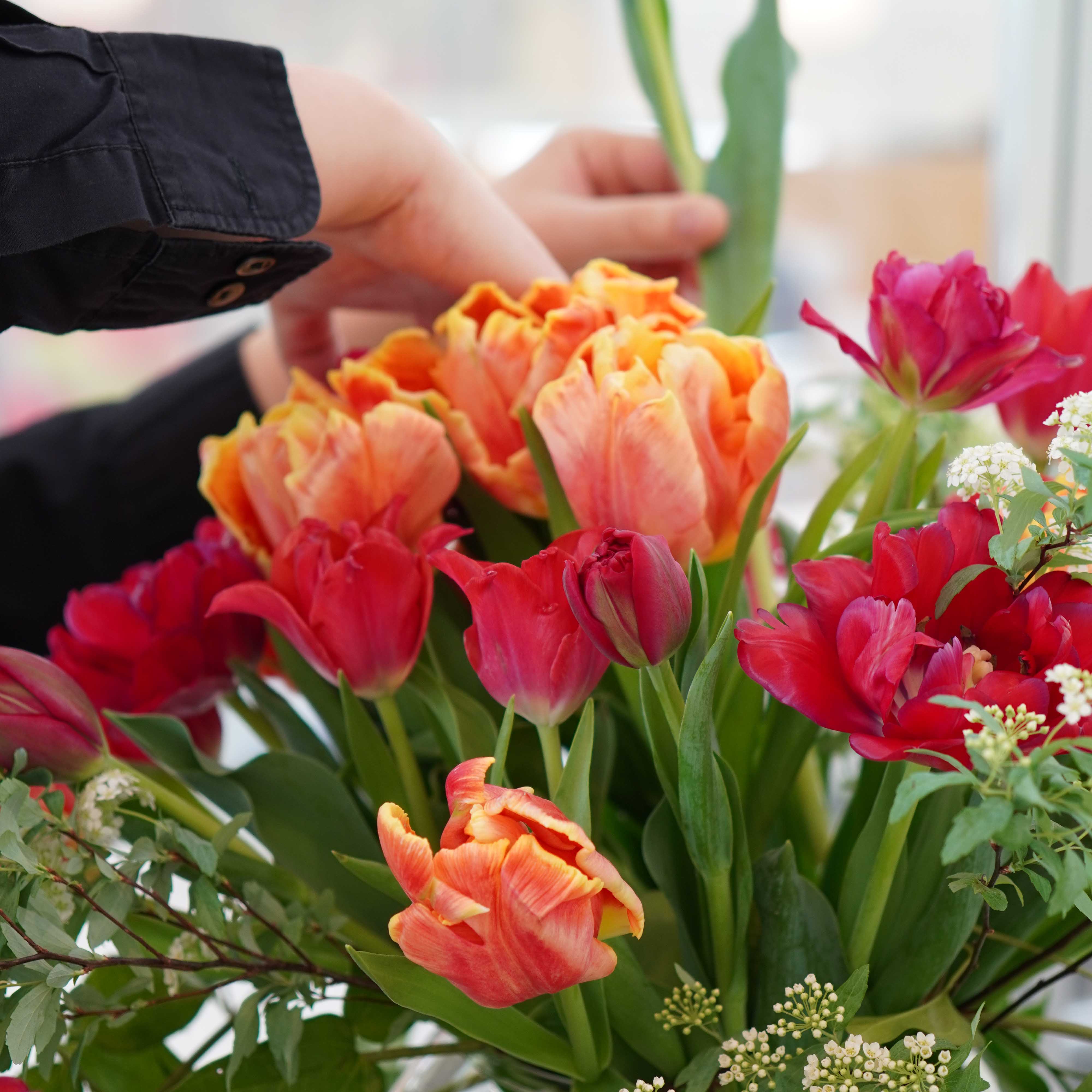 チューリップの花瓶活け