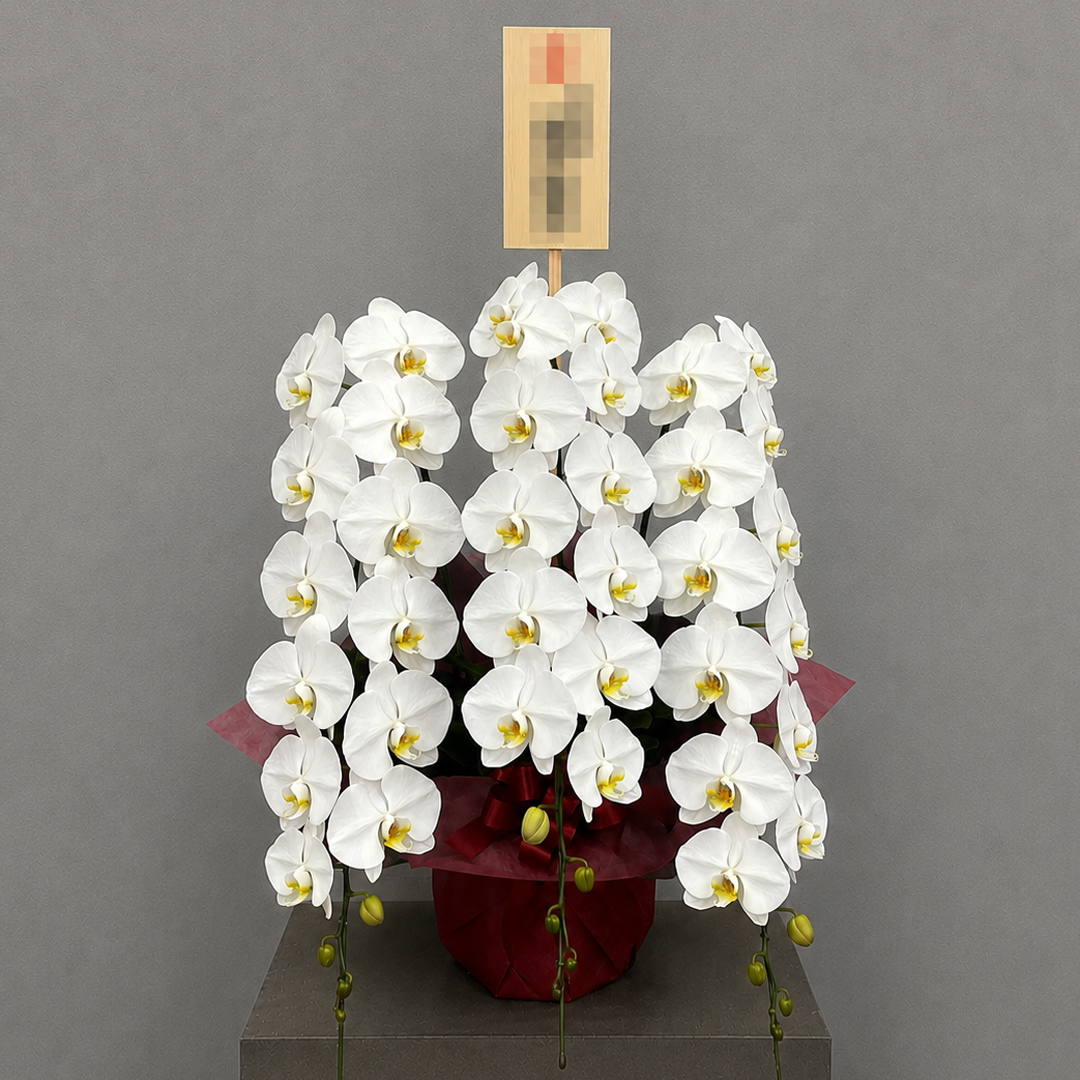 濃いピンクと淡いピンクのお祝い用スタンド花