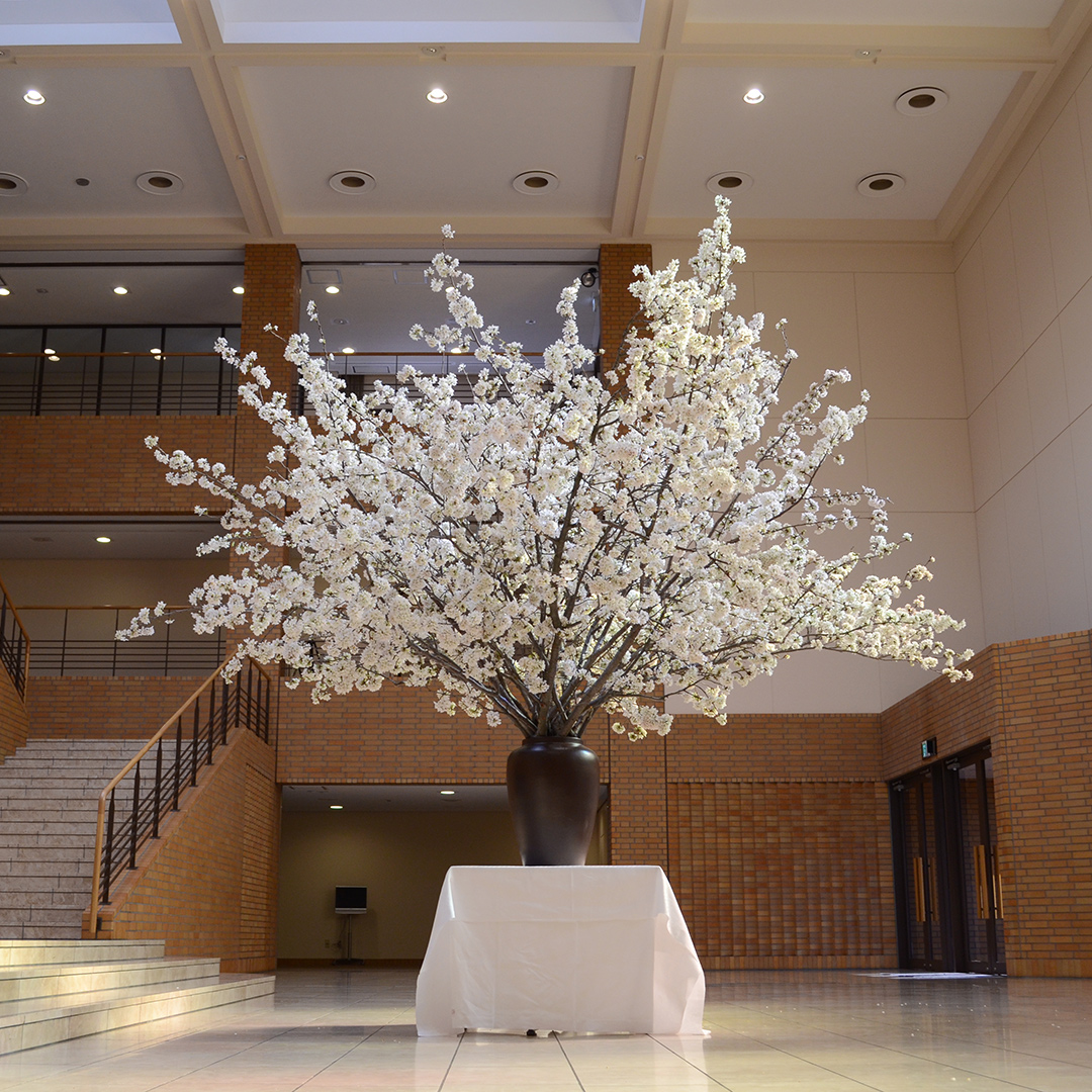 大学入学式の桜活け込み