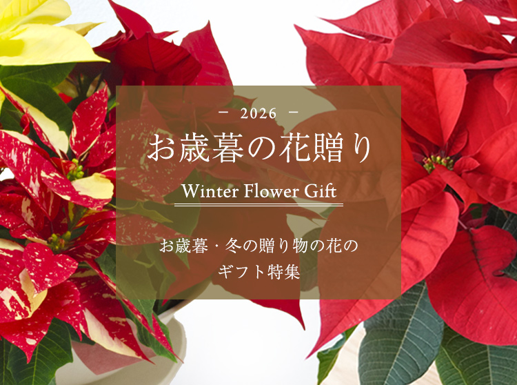 お歳暮・冬の贈り物の花・ギフト特集2026