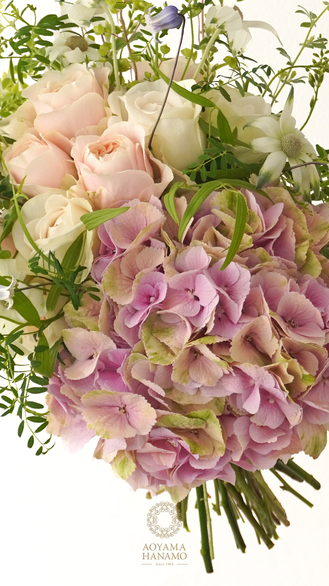 紫陽花