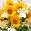 黄色いヒマワリと淡いオレンジのトルコキキョウのアレンジメント