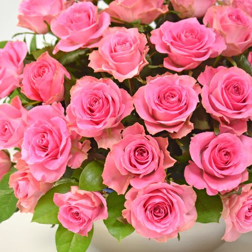 ピンクのバラのアレンジメント(大輪35本)｜青山花茂本店