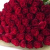 50本の赤いバラの花束