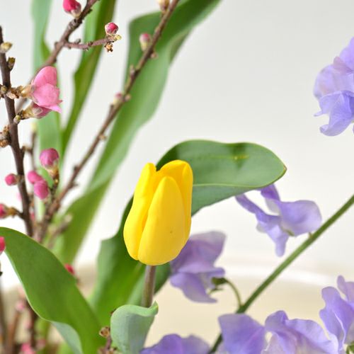花桃いけばな花材＜桃・チューリップ・スイートピー＞