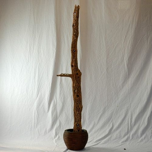 チョラ（乾燥したサボテン　サンドブラスト加工）