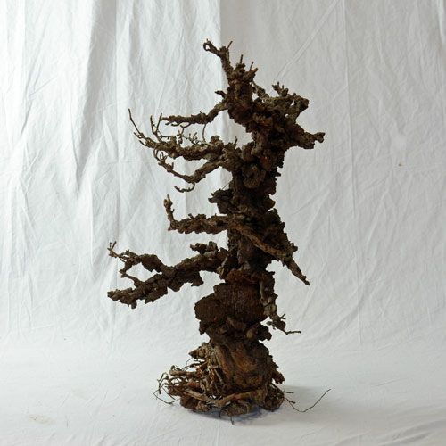 ドライ加工した錦松