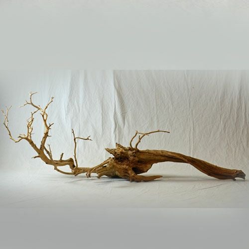 ドライマンザニータ