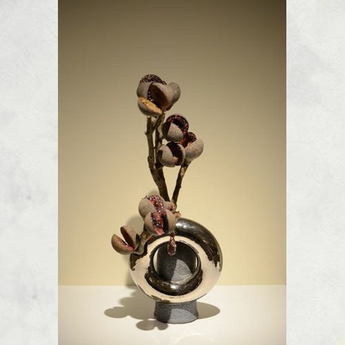 ドライ加工したネイティブピーチの画像