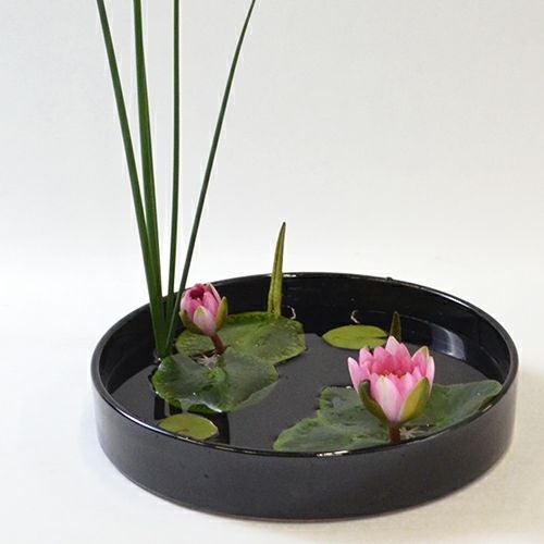 睡蓮いけばな花材 太藺・睡蓮二株(花つれづれ水ものの号No.1)｜青山花