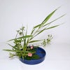 河骨・睡蓮いけばな花材＜睡蓮二株・野バラ・葦＞
