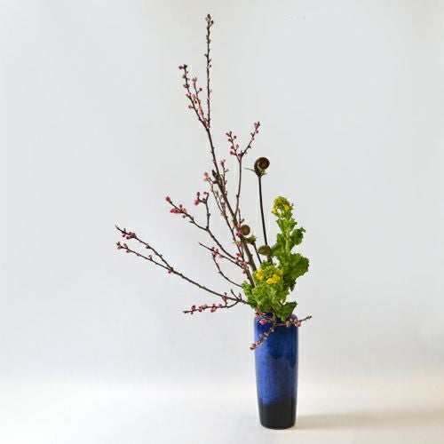 花桃いけばな花材＜桃・ゼンマイ・菜の花＞