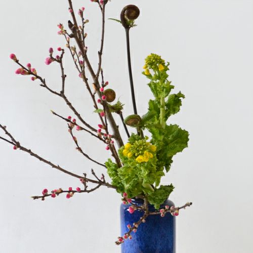 花桃いけばな花材＜桃・ゼンマイ・菜の花＞