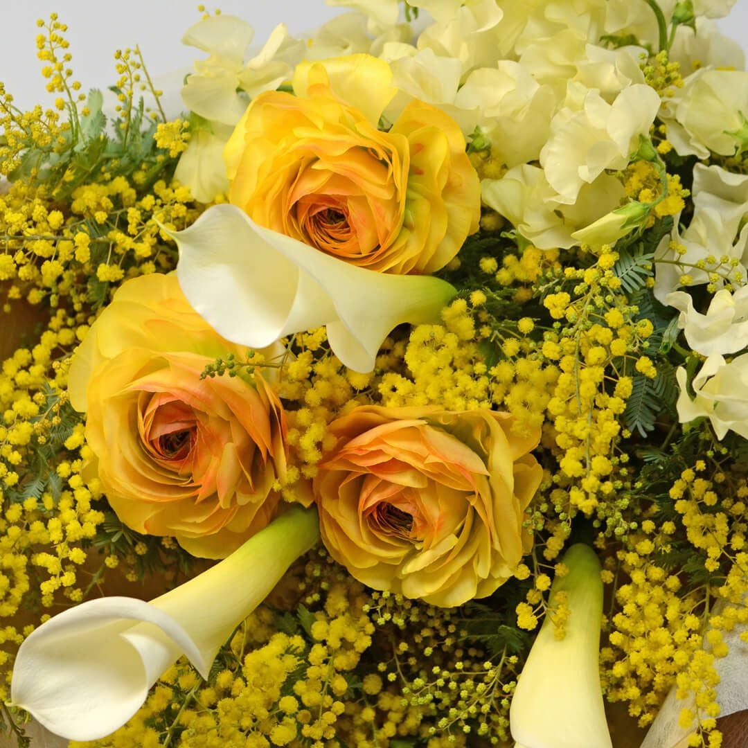 ミモザの花束＜ルチアーナ＞｜青山花茂本店