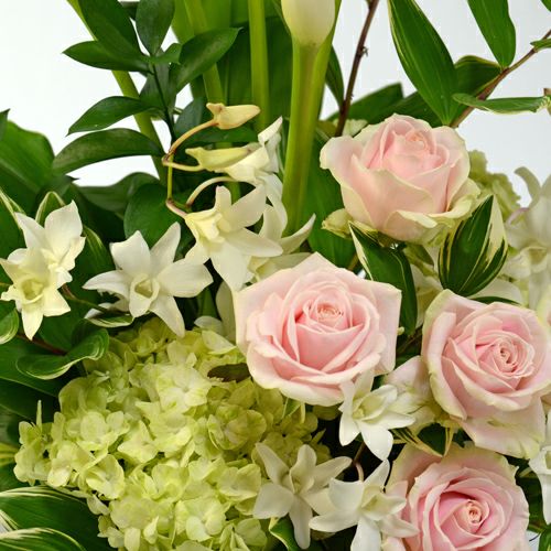 カラーやバラの床置きアレンジメント