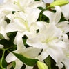 カサブランカの花束
