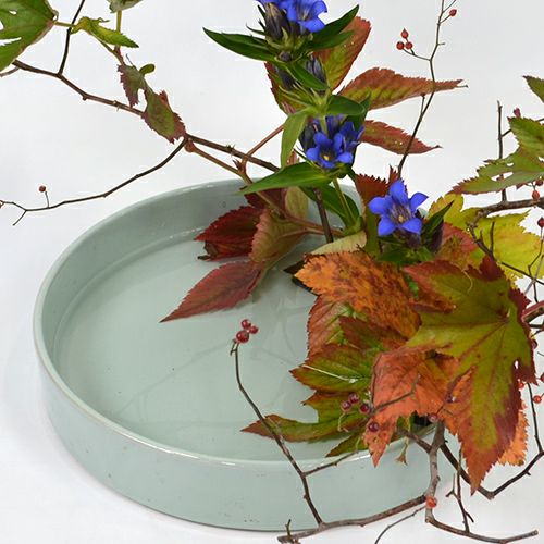 秋のいけばな花材<野バラ・紅葉木苺・竜胆>