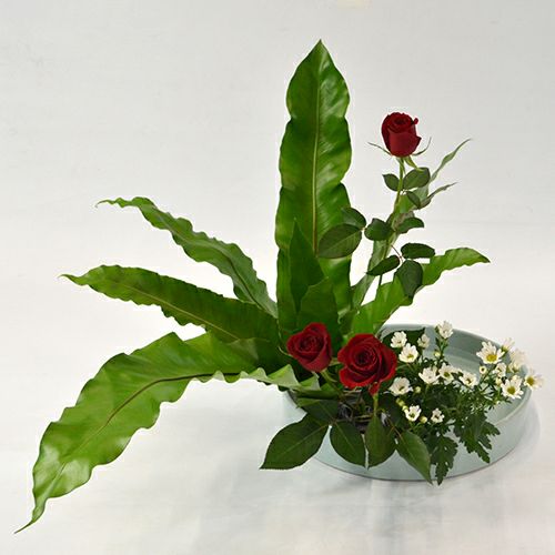 いけばな花材<谷渡り・バラ・小菊>