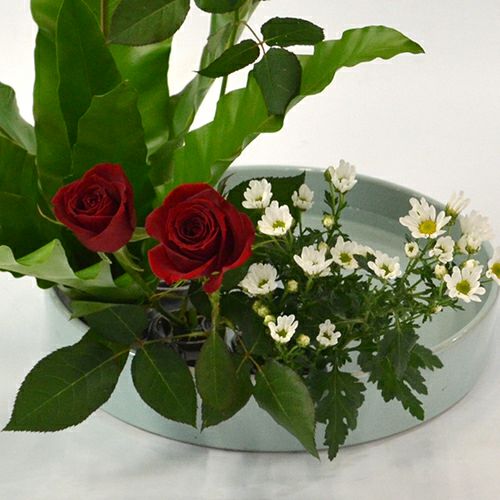 いけばな花材<谷渡り・バラ・小菊>