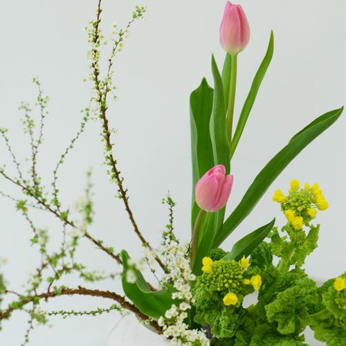 早春いけばな花材　<雪柳・チューリップ・菜の花>
