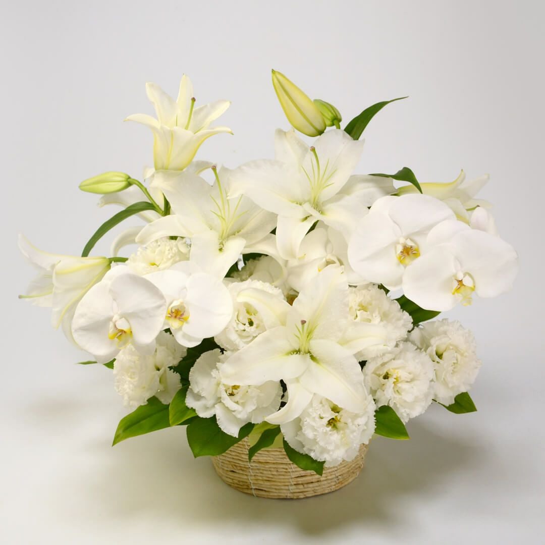 000000002166-01.jpg?size=m&w=