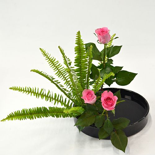 いけばな花材<玉羊歯・バラ>