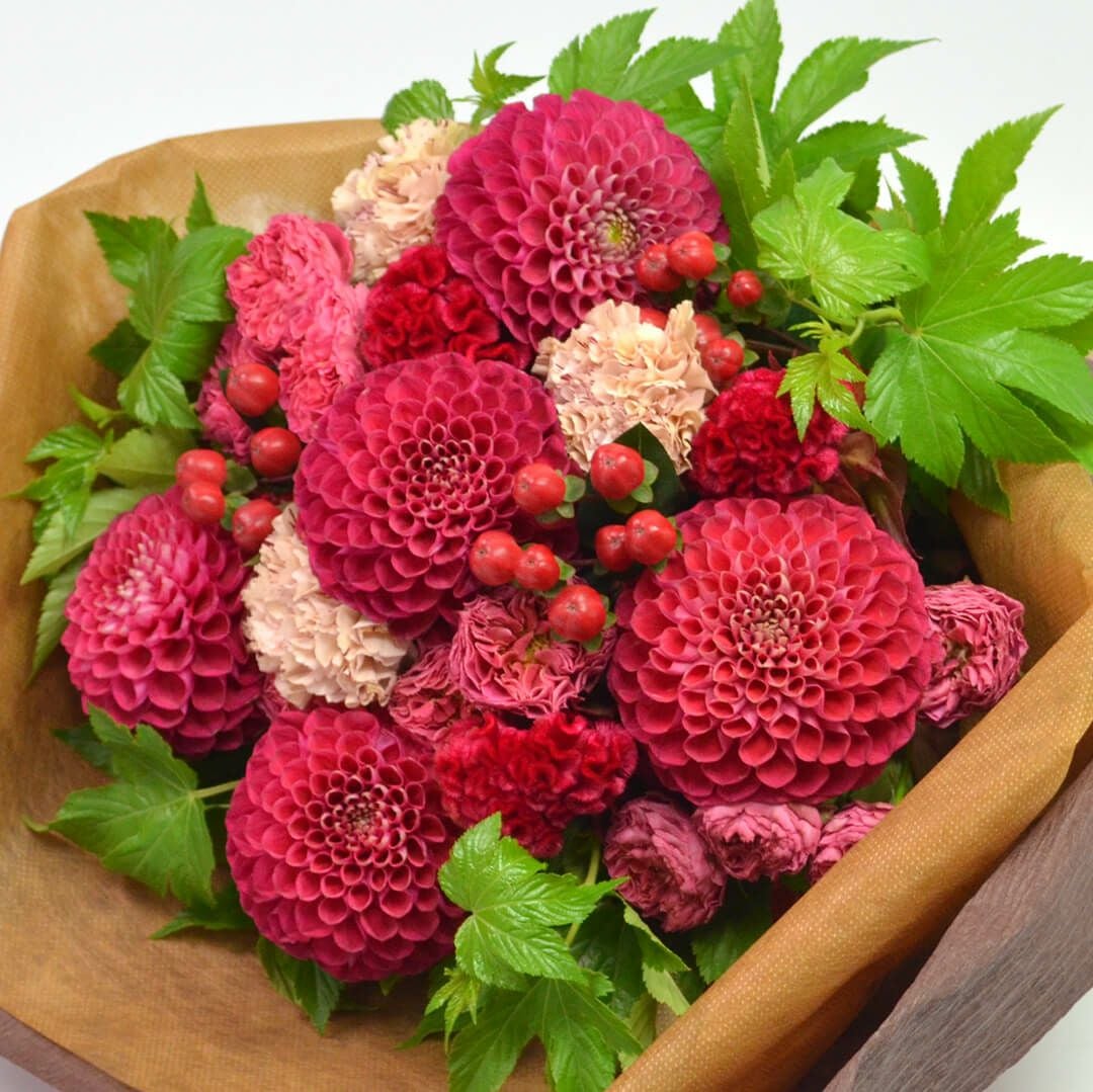 秋の花束＜フランボワーズ＞｜青山花茂本店